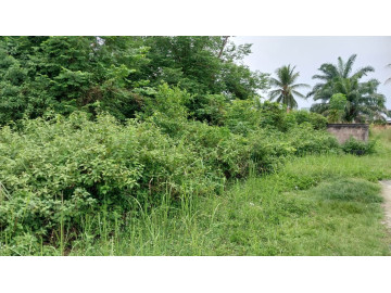 DIJUAL TANAH  BUKIT TIMAH DUMAI