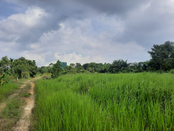 Dijual Cepat Tanah Belakang SKA