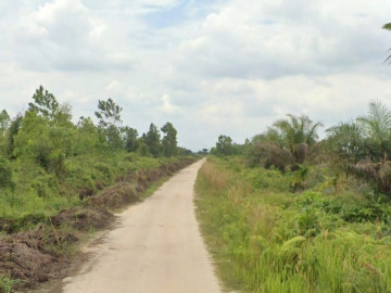 DIJUAL SEBIDANG TANAH 10 HEKTAR LOKASI RIMBO PANJANG/PEKANBARU-BANGKINANG