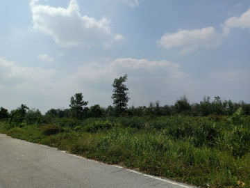 Dijual Tanah 12ha di Jl. Riau Baru - Pekanbaru