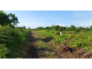 Di jual Sebidang Tanah lokasi Jalan Riau Ujung tengah kota Pekanbaru
