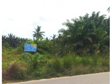 Dijual sebidang tanah di Garuda Sakti Km 20