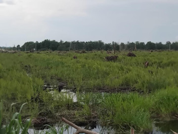 Di jual sebidang tanah lokasi Riau Ujung tengah kota Pekanbaru