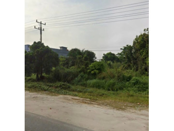 DIJUAL TANAH LUAS DI KUBANG JAYA - KAMPAR