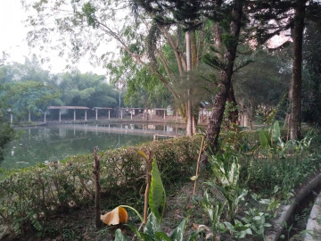 DIJUAL TANAH LUAS DITENGAH KOTA KERINCI