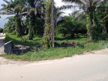 Dijual tanah di Jl. Tegal Sari / Rumbai