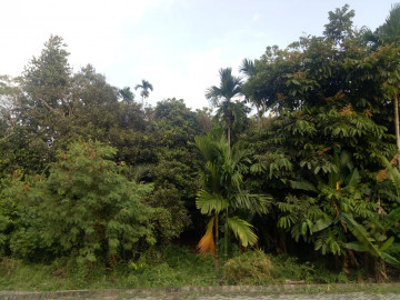 Dijual tanah di Jl. Melati III / Arifin Ahmad - Pekanbaru