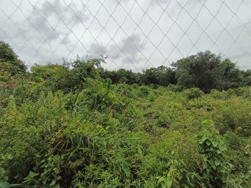 Dijual Tanah Tengah Kota - Di Daerah Jalan Sigunggung Pekanbaru