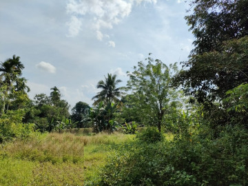 Dijual tanah murah di Palas