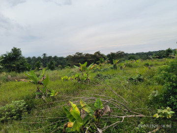 Dijual Tanah Lokasi Di Muara Fajar Pekanbaru Riau