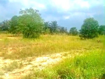 DIJUAL SEBIDANG TANAH KERAS LOKASI JL.INDRAPURI HANGTUAH-PEKANBARU