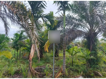 Dijual Tamah Kaplingan Keras + Ada Kebun Sawitnya Ukuran 450 M2 Jl Rimbo Panjang Kec Tambang,Kampar Riau