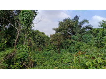 Dijual Tanah Jl. Gelatik, Tampan, Pekanbaru
