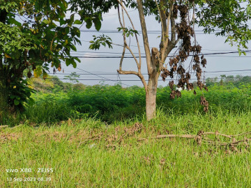 DIJUAL TANAH LOKASI JALAN SOEKARNO HATTA PEKANBARU