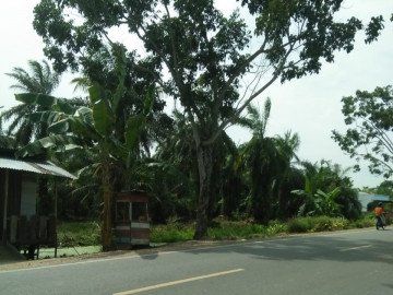 DIJUAL TANAH LUAS DI JL. POROS - ROKAN HILIR