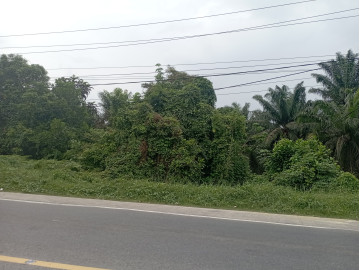 Dijual Tanah Keras di Jl. Lintas Timur Jambi - Riau (Pelalawan)