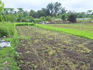 DIJUAL SEBIDANG TANAH JL.GARUDA SAKTI KM6