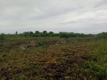 Dijual tanah di rimbo panjang km 16,5 -pekanbaru