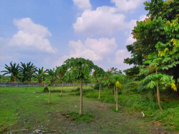 Dijual Tanah murah di Jl. Teropong