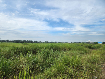 Dijual Tanah dengan Luas 8 Ha di Palas
