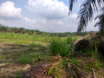 Dijual Tanah di Jl. Ikan Parang Ujung  / Rumbai