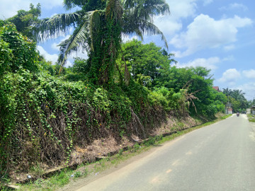 DIJUAL TANAH Uk.1.568 m2 JL.BUKIT PASIR dekat JL.HARAPAN RAYA