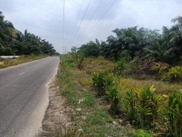 Dijual Tanah 1,3Ha di Tepi Jalan Lintas Ferry Pinang Sebatang - Perawang