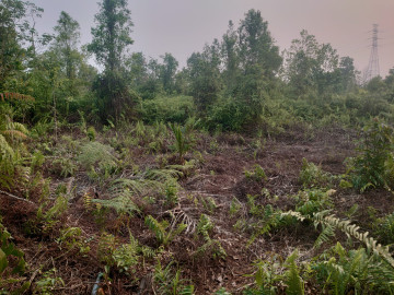 Di Jual Sebidang Tanah di Rimbo Panjang