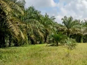 Dijual Tanah Jl Palas / Yosudarso Rumbai