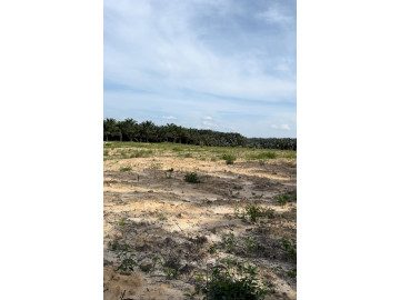 DIJUAL TANAH KAVLINGAN DITEPI JALAN RAPP PERAWANG