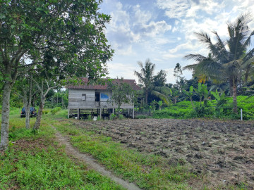DIJUAL SEBIDANG TANAH LOKASI DI JL.MAHANG RAYA PASIR PUTIH-PEKANBARU