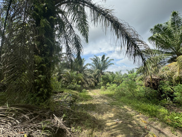 DIJUAL TANAH KOSONG JL.PURI SARI