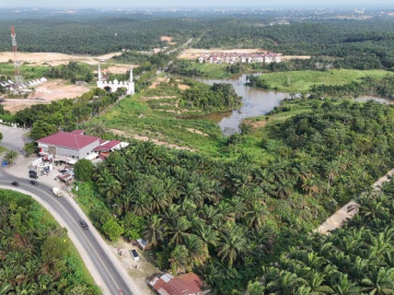 DIJUAL SEBIDANG TANAH LOKASI DI PELALAWAN KM 55 - PANGKALAN KERINCI