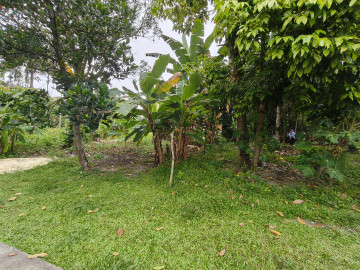 Dijual Tanah di Jl. H Ismail Dekat Hangtuah Ujung Tenayan Raya