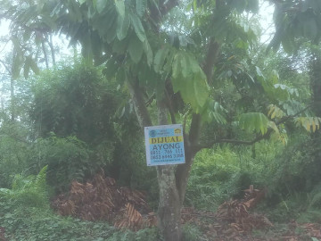 Dijual Sebidang tanah lokasi Tengah kota di Jl. Marsan / Panam - Pekanbaru