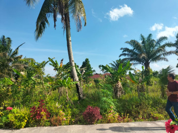 Di Jual Tanah sumber rezeki pandau