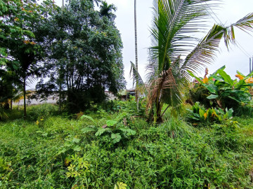 DI JUAL TANAH MURAH  TENGAH KOTA  DI JL LIMBAT DEKAT JALAN SOEKARNO HATTA