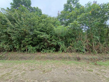 DI JUAL SEBIDANG TANAH JL MELATI