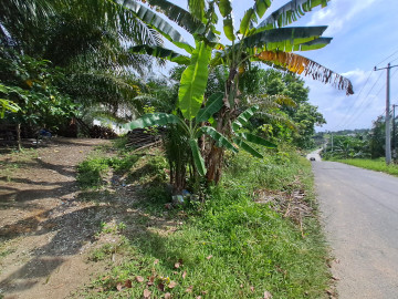 Dijual sibidang tanah di jl.karya bakti tenayan raya-pekanbaru
