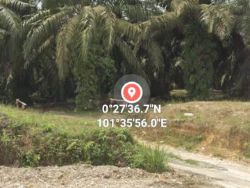Dijual tanah di Lintas Timur Km 27 - Jambi