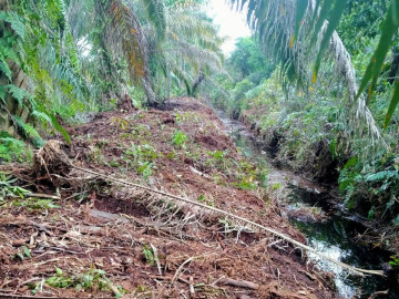 Dijual sebidang tanah luas di daerah sepahat-dumai