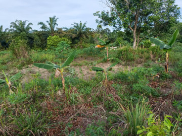 Dijual Tanah di Pasir Putih