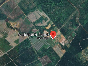 DIJUAL SEBIDANG TANAH KERAS LOKASI PALAS/RUMBAI - PEKANBARU