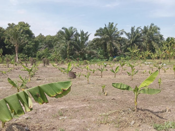 DIJUAL TANAH  JL PARIT INDAH