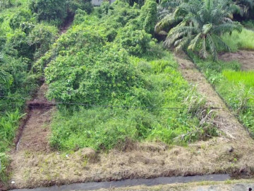 DIJUAL SEBIDANG TANAH LOKASI JL.PESISIR BLK A - PEKANBARU