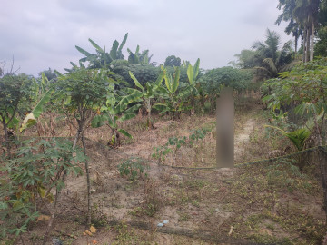Dijual Tanah Keras Luas 1830 M2 Jl Padat Karya Palas- Rumbai