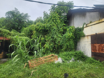 DIJUAL TANAH STRATEGIS BERLOKASI DI JL. NANGKA / TUANKU TAMBUSAI