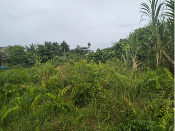 Dijual Tanah Dijalan Satria