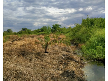 DIJUAL TANAH KOSONG Jl. RIAU UJUNG