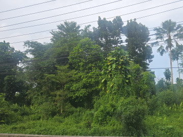 DIJUAL TANAH JL.JENDRAL SUDIRMAN